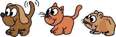 Hund, Katze, Meerschweinchen