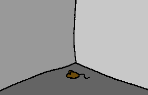 Hier kommt die Maus!