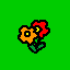 Blume