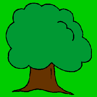Baum
