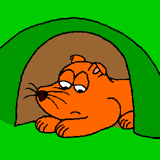 Fuchs