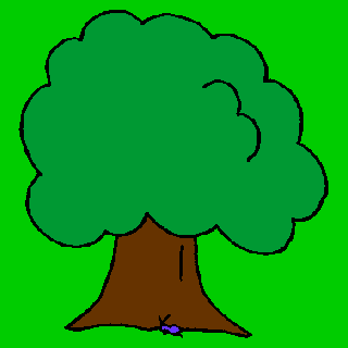 K&auml;fer